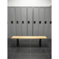 Locker Room Bench, Wood, 48" L x 9-1/4" W x 16-1/2" H Quali-T-Solutions