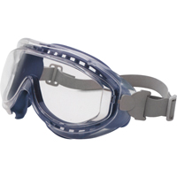 Safety Goggles