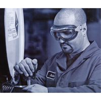 Uvex&reg; Flex Seal Safety Goggles, 3.0 Lens, Anti-Fog, Indirect Vent Quali-T-Solutions