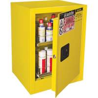 Armoire de s&eacute;curit&eacute; d'&eacute;tabli pour produits inflammables EX Sure-Grip, 24 gal., 1 Porte(s), 21" La x 27" h x 18" p Quali-T-Solutions