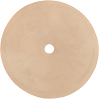 Survivair&reg; Inhalation Valve Quali-T-Solutions