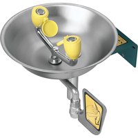 Eyewash Station, Wall-Mount Installation, Stainless Steel Bowl Quali-T-Solutions