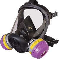 Respirateur &agrave; masque complet de s&eacute;rie RU6500 de North, Silicone, Petit Quali-T-Solutions