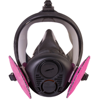 Respirateur &agrave; masque complet de s&eacute;rie RU6500 de North, Silicone, Petit Quali-T-Solutions