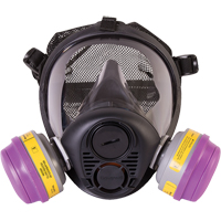 Respirateur &agrave; masque complet de s&eacute;rie RU6500 de North, Silicone, Moyen Quali-T-Solutions