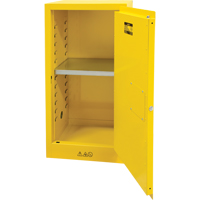 Armoire pour produits inflammables, 16 gal., 1 Porte(s), 23" La x 44" h x 18" p Quali-T-Solutions