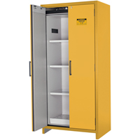 Armoire d'entreposage 90 minutes s&eacute;curitaire et conforme &agrave; la norme EN, 30 gal., 2 Porte(s), 35,16" La x 76,89" h x 24,21" p Quali-T-Solutions