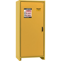 Armoire d'entreposage 30 minutes s&eacute;curitaire et conforme &agrave; la norme EN, 30 gal., 1 Porte(s), 34,02" La x 76,65" h x 24,21" p Quali-T-Solutions