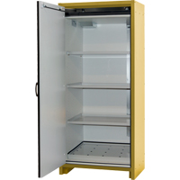 Armoire d'entreposage 30 minutes s&eacute;curitaire et conforme &agrave; la norme EN, 30 gal., 1 Porte(s), 34,02" La x 76,65" h x 24,21" p Quali-T-Solutions