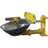 Halo Face/Eyewash Stations, Wall-Mount Installation, Stainless Steel Bowl Quali-T-Solutions
