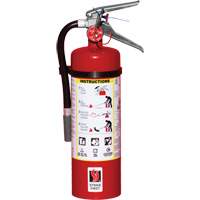Fire Extinguisher, ABC, 5 lbs. Capacity Quali-T-Solutions