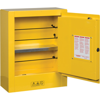 Mini-armoires de s&eacute;curit&eacute; Sure-Grip EX pour produits inflammables, 2 gal., 1 Porte(s), 17" La x 22" h x 8" p Quali-T-Solutions