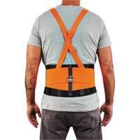 ProFlex 100HV Economy Spandex Hi-Vis Back Support Brace, Elastic, X-Small Quali-T-Solutions