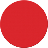 Marqueurs all&eacute;g&eacute;e/5S Armor Stripe, Cercle, 6" lo x 6" la, Rouge, Plastique Quali-T-Solutions