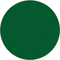 Marqueurs all&eacute;g&eacute;e/5S Armor Stripe, Cercle, 6" lo x 6" la, Vert, Plastique Quali-T-Solutions