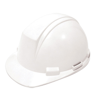 Dynamic Mont-Blanc Hardhat, ANSI Type II/CSA Type 2, Pinlock Suspension Quali-T-Solutions