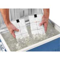 Sachets pour veste de refroidissement &agrave; changement de phase 6260 Chill-Its Quali-T-Solutions