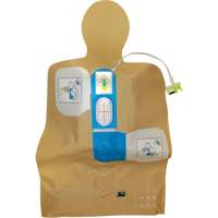 D&eacute;fibrillateur de formation sur la route AED Plus Quali-T-Solutions