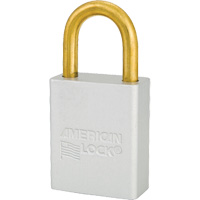 Cadenas de s&eacute;curit&eacute; American Lock, Transparent, Cl&eacute;s identiques, Aluminium, Largeur de 1-1/2" Quali-T-Solutions