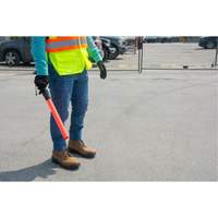 Safety Baton Light Quali-T-Solutions
