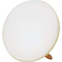 Jumbo Therapy Light for Seasonal Affective Disorder Quali-T-Solutions