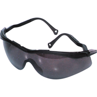 Lunettes de s&eacute;curit&eacute; North The Edge, Lentille Fum&eacute;e, Antibu&eacute;e/Anti-&eacute;gratignures, R&eacute;pond ou surpasse la norme CSA Z94.3 Quali-T-Solutions