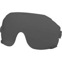 Eye Visor Replacement Lenses, Grey/Smoke Tint Quali-T-Solutions