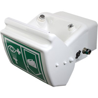 Eye/Face Wash, Wall-Mount Installation, Plastic Bowl Quali-T-Solutions