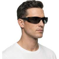 Adapt Lite Safety Glasses, Smoke Lens, Anti-Fog/Anti-Scratch, ANSI Z87+/Meets/Exceeds CSA Z94.3 Quali-T-Solutions