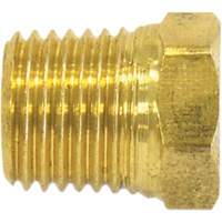 Bouchon de tuyau (t&ecirc;te hexagonale), 1/4" dia., Laiton Quali-T-Solutions