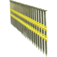 Clous ordinaires Quali-T-Solutions