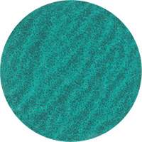 Disque de ponçage &agrave; dos verrouill&eacute;, 3" dia., Grain 36, Zirconium Quali-T-Solutions