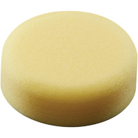 Polishing Pad, 3" Dia. Quali-T-Solutions