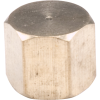 Pipe Caps, Brass Quali-T-Solutions