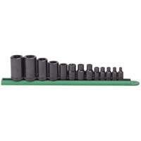 External Torx&reg; Socket Set, 1/2"/1/4"/3/8" Drive Quali-T-Solutions
