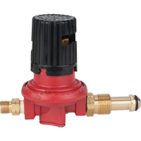 Propane Regulator Quali-T-Solutions