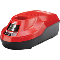 M4 Charger, 4 V, Lithium-Ion Quali-T-Solutions