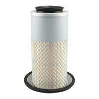 PA3833 &eacute;l&eacute;ment de filtre &agrave; air Quali-T-Solutions