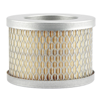 PA697 &eacute;l&eacute;ment de filtre &agrave; air Quali-T-Solutions