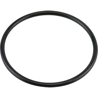 G438 Buna-N O-Ring Quali-T-Solutions