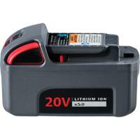 IQV20 High Capacity Battery, Lithium-Ion, 20 V, 5 Ah Quali-T-Solutions