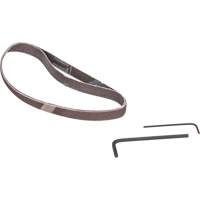 Ponceuse &agrave; bande, 13" - 3/8", 16 pi³/min, 1/4" NPTF Quali-T-Solutions