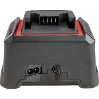 2.5 Ah & 5.0 Ah Battery Charger, 120 V, Lithium-Ion Quali-T-Solutions