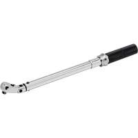 Cl&eacute; dynamom&eacute;trique &agrave; microm&egrave;tre, &agrave; cliquer, Entraînement 3/8" carr&eacute;, 10,17 - 105,1 N,m/5 - 75 lb-pi Quali-T-Solutions