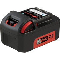 Battery, Lithium-Ion, 40 V Quali-T-Solutions