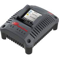 IQV20 Compact Battery Charger, 20 V, Lithium-Ion Quali-T-Solutions