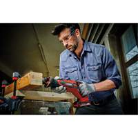 Professional Cordless Reciprocating Saw (Tool Only), 18 V, Lithium-Ion Battery Quali-T-Solutions