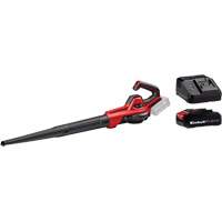 Souffleuse universelle 110 pi3/min sans fil avec batterie 2,5 Ah et ensemble de d&eacute;part de chargeur, 18 V, Vitesse d'air 155,34 mi/h, &agrave; pile Quali-T-Solutions