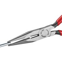 Long Nose Pliers with Cutter, 6-1/4" L Quali-T-Solutions