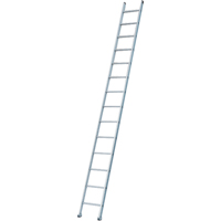 Industrial Heavy-Duty Extension/Straight Ladders, 8', Aluminum, 300 lbs., CSA Grade 1A Quali-T-Solutions